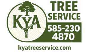 kya-tree-service